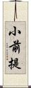 小前提 Scroll