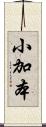 小加本 Scroll