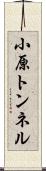 小原トンネル Scroll