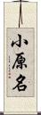 小原名 Scroll
