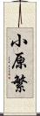 小原繁 Scroll