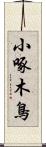 小啄木鳥 Scroll