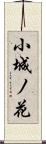 小城ノ花 Scroll