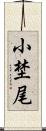 小埜尾 Scroll