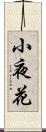 小夜花 Scroll