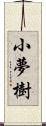 小夢樹 Scroll