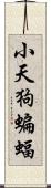 小天狗蝙蝠 Scroll