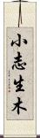 小志生木 Scroll