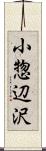小惣辺沢 Scroll