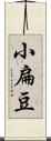 小扁豆 Scroll