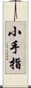 小手指 Scroll