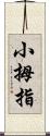 小拇指 Scroll