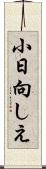 小日向しえ Scroll