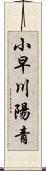 小早川陽青 Scroll