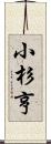 小杉亨 Scroll