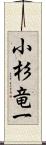 小杉竜一 Scroll