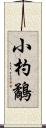 小杓鷸 Scroll