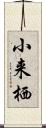 小来栖 Scroll