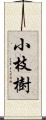 小枝樹 Scroll