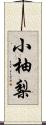 小柚梨 Scroll