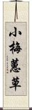 小梅蕙草 Scroll