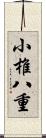 小椎八重 Scroll