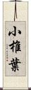 小椎葉 Scroll