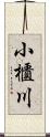 小櫃川 Scroll