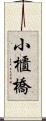 小櫃橋 Scroll