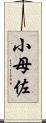 小母佐 Scroll