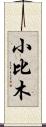 小比木 Scroll