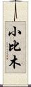 小比木 Scroll