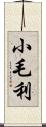 小毛利 Scroll