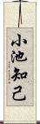 小池知己 Scroll