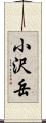 小沢岳 Scroll