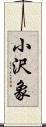 小沢象 Scroll