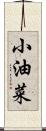 小油菜 Scroll