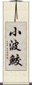 小波鮫 Scroll