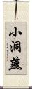 小洞燕 Scroll