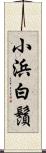 小浜白鬚 Scroll