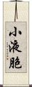 小液胞 Scroll