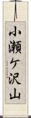 小瀬ケ沢山 Scroll