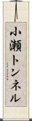 小瀬トンネル Scroll