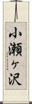 小瀬ヶ沢 Scroll