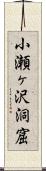 小瀬ヶ沢洞窟 Scroll