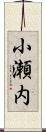小瀬内 Scroll