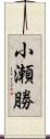 小瀬勝 Scroll