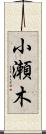 小瀬木 Scroll