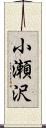 小瀬沢 Scroll