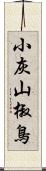 小灰山椒鳥 Scroll